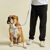 Immaculate Vegan - Barc London Fresh Lilac Dog Harness