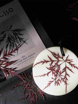 Immaculate Vegan - Elan Skincare Esclusso Home Fragrance | Japanese Maple