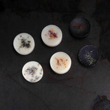 Immaculate Vegan - Elan Skincare Esclusso Scented Wax Melts - Selection