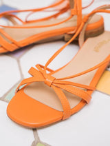 Immaculate Vegan - Minuit sur Terre Dora Mandarine