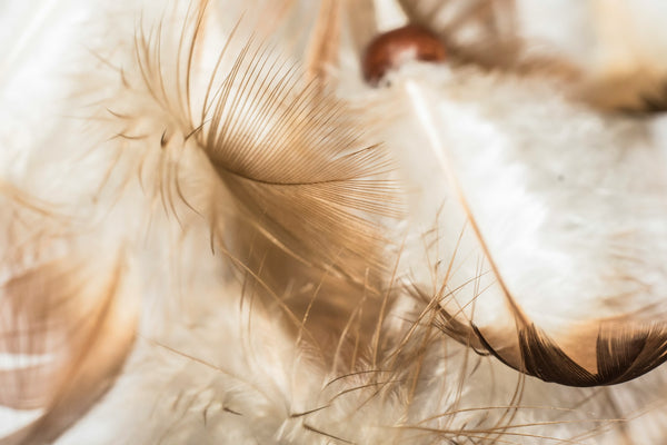 Here's Why You Shouldn't Wear Feathers This Party Season