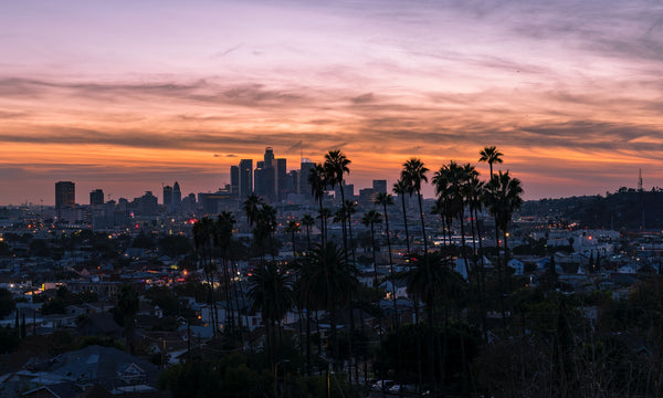 Los Angeles – A Must-Visit Vegan Paradise