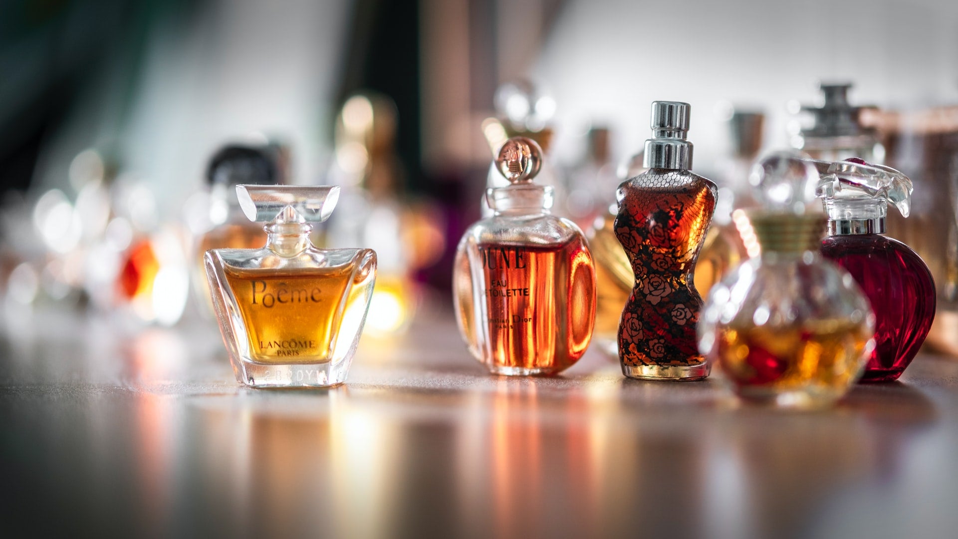 Is Your Perfume Toxic? A Guide to the Fragrance Jungle