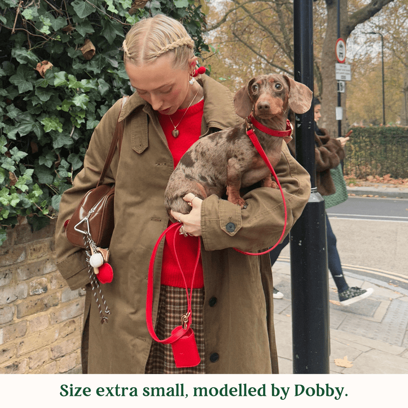 Tails & Bloom Rouge Dog Collar
