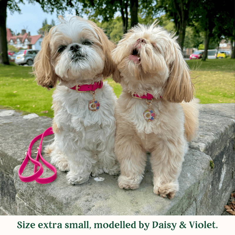 Tails & Bloom Raspberry Pink Dog Collar