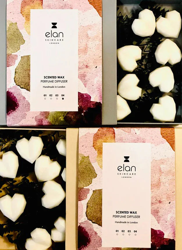 Elan Skincare Elan Scented Wax Melts - Little Secret