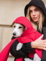 Immaculate Vegan - New Orchard Dog Hoodie Red