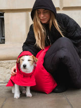 Immaculate Vegan - New Orchard Dog Hoodie Red