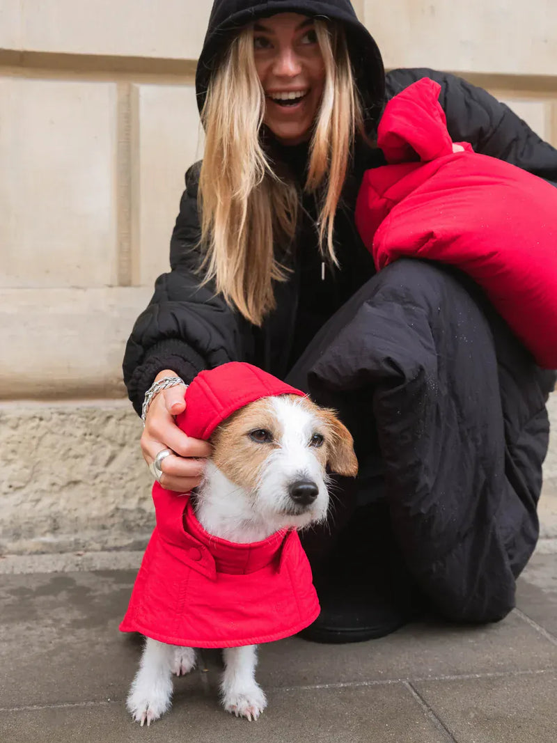 New Orchard Dog Hoodie Red