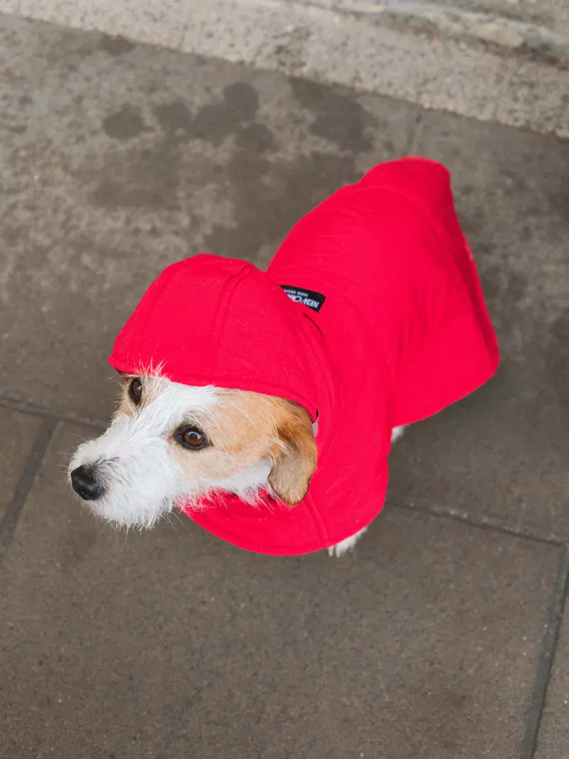 New Orchard Dog Hoodie Red