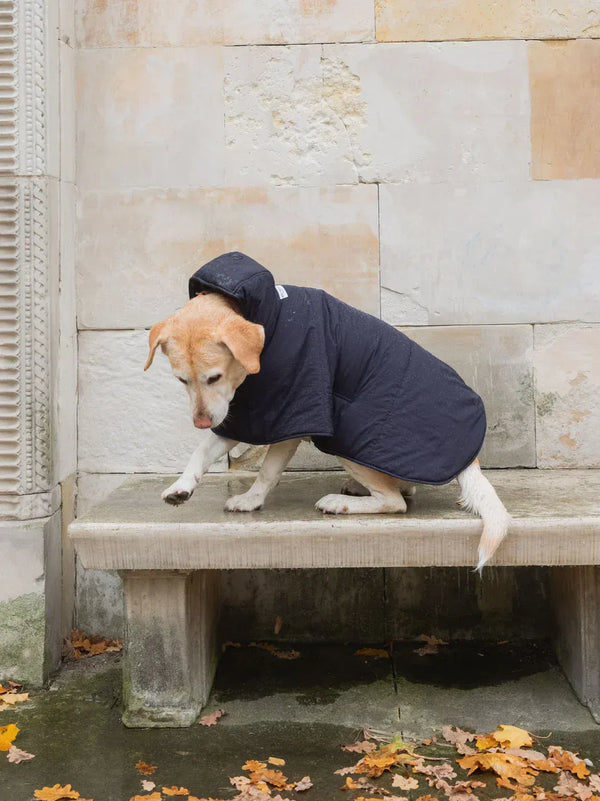 New Orchard Dog Hoodie Navy