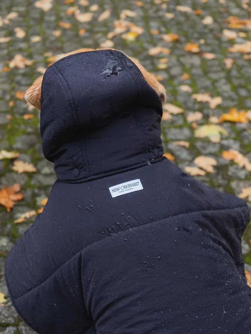 New Orchard Dog Hoodie Navy