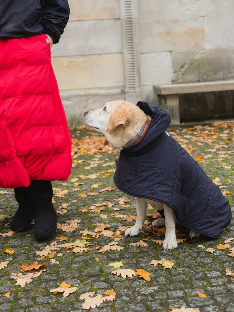 New Orchard Dog Hoodie Navy