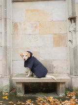 Immaculate Vegan - New Orchard Dog Hoodie Navy