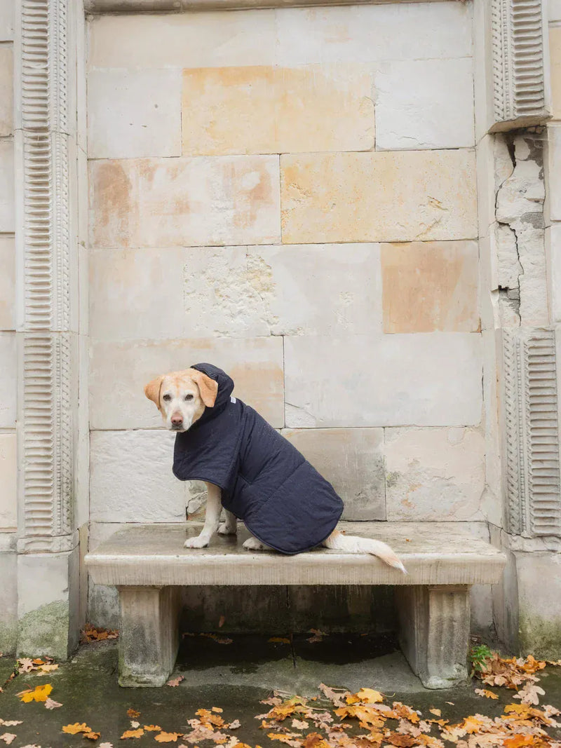 New Orchard Dog Hoodie Navy