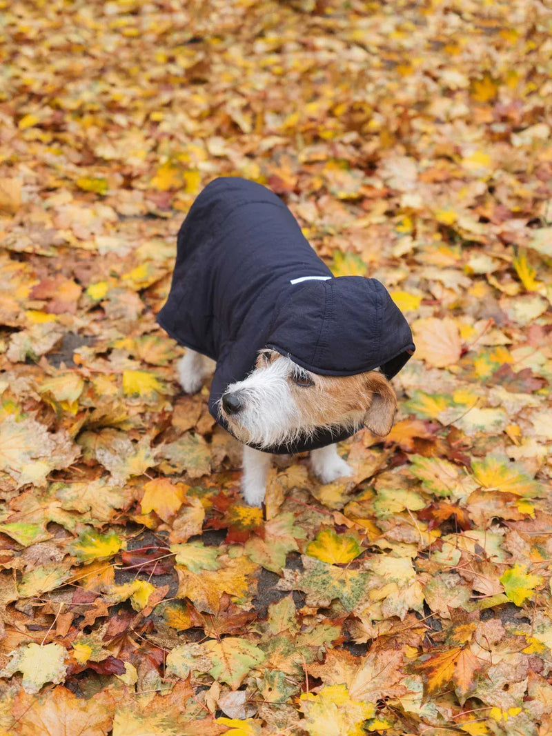 New Orchard Dog Hoodie Navy