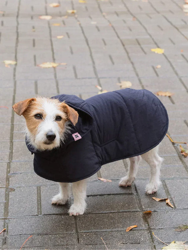 New Orchard Dog Hoodie | Navy