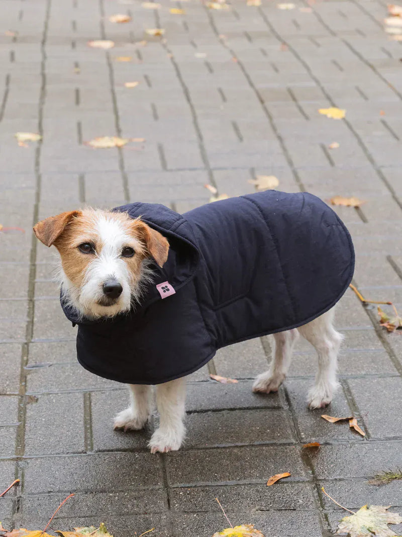 New Orchard Dog Hoodie Navy