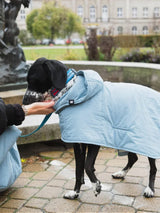 Immaculate Vegan - New Orchard Dog Hoodie | Blue