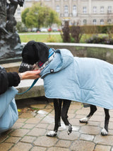 Immaculate Vegan - New Orchard Dog Hoodie Blue