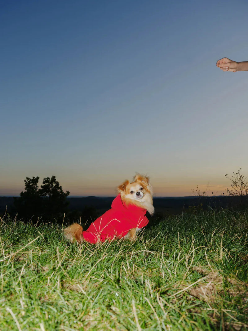 New Orchard Snack Pouche Red Vivid Red