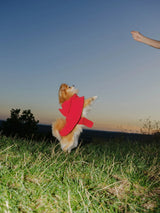 Immaculate Vegan - New Orchard Snack Pouche Red Vivid Red