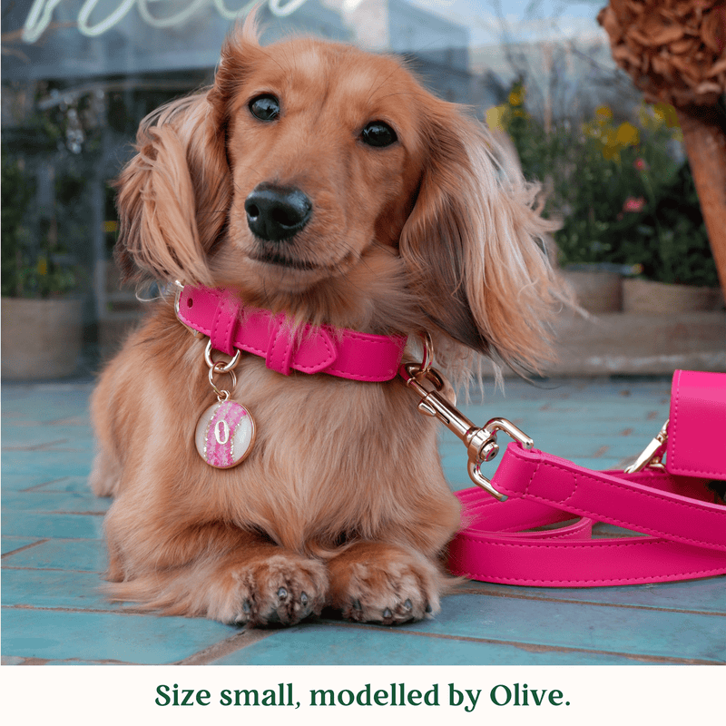 Tails & Bloom Raspberry Pink Dog Collar