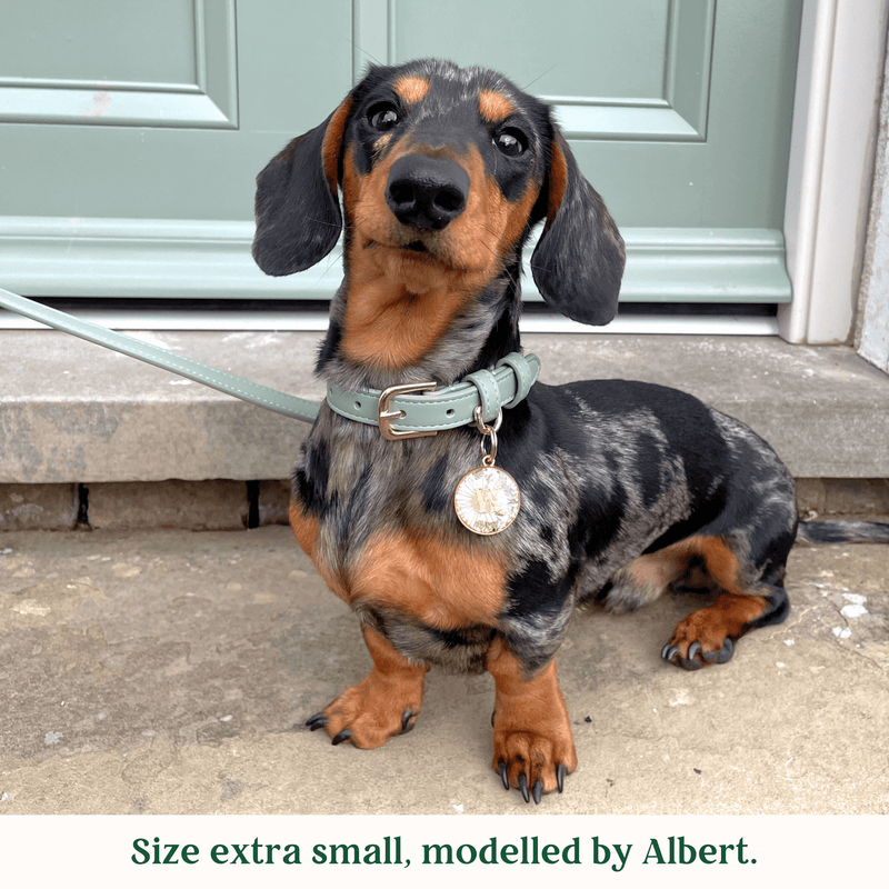 Tails & Bloom Sage Dog Collar