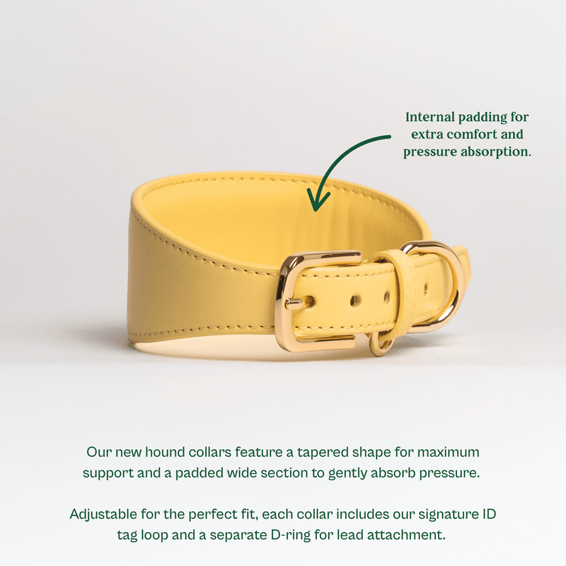 Tails & Bloom Primrose Hound Collar
