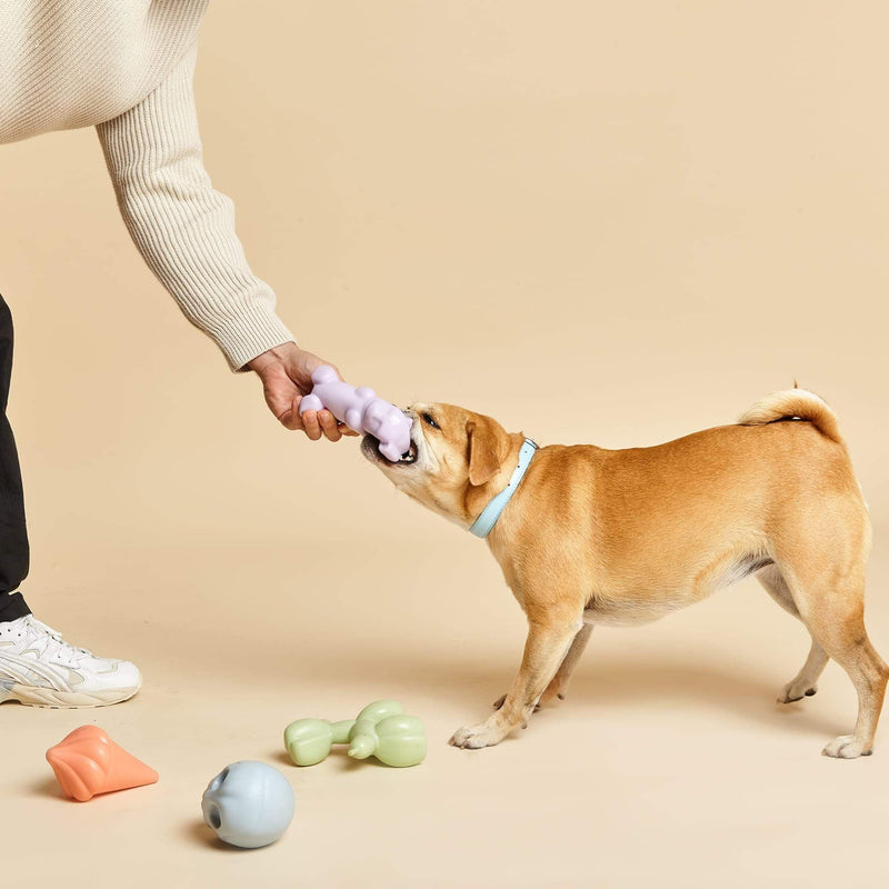 Barc London Squeaky Dog Toy Bundle