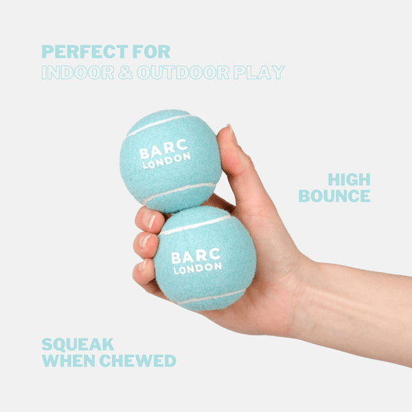 Barc London Blue Dog Ball