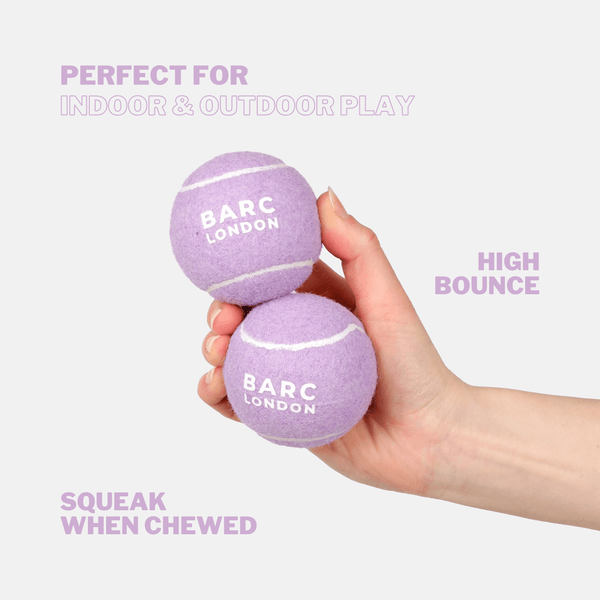 Barc London Lilac Dog Ball