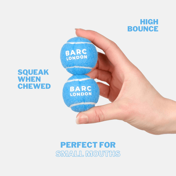 Barc London Blue Mini Dog Ball