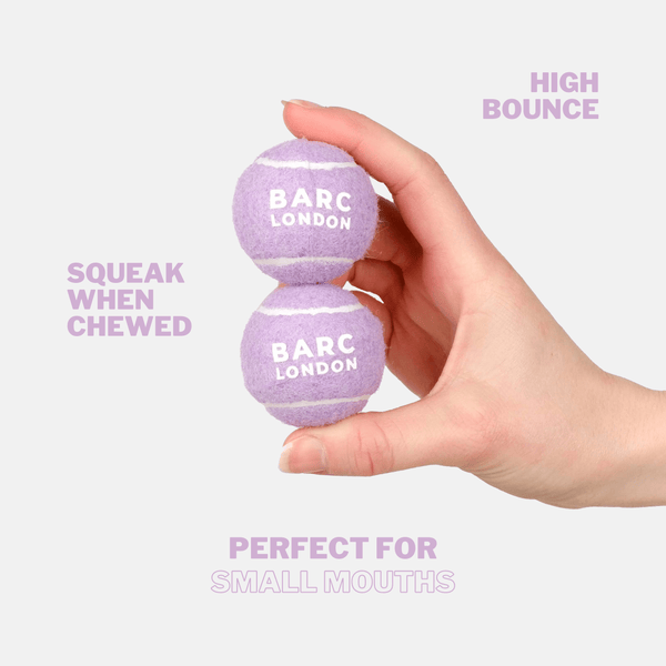 Barc London Lilac Mini Dog Ball