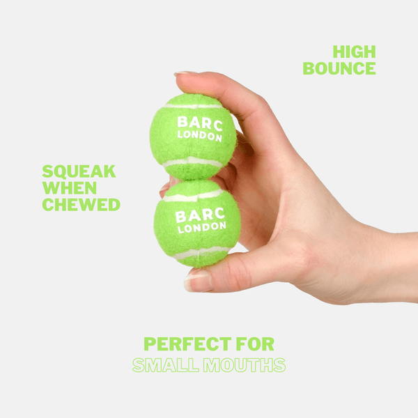 Barc London Lime Green Mini Dog Ball