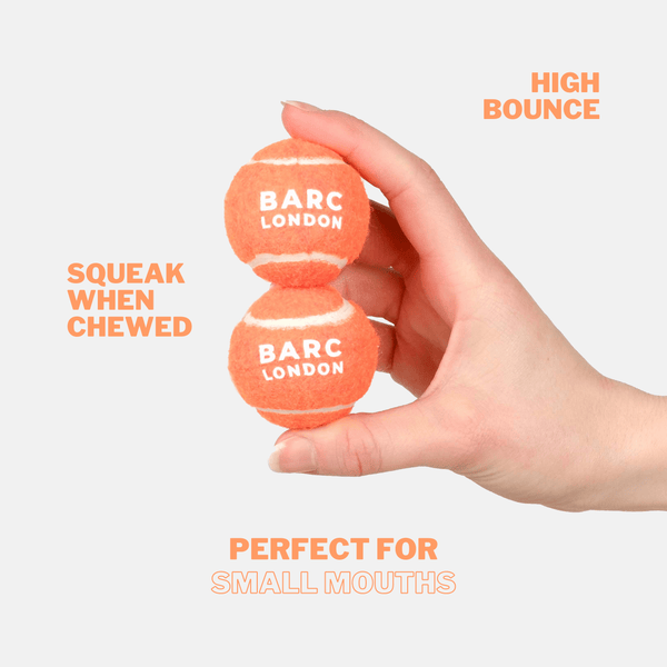 Barc London Bright Orange Mini Dog Ball