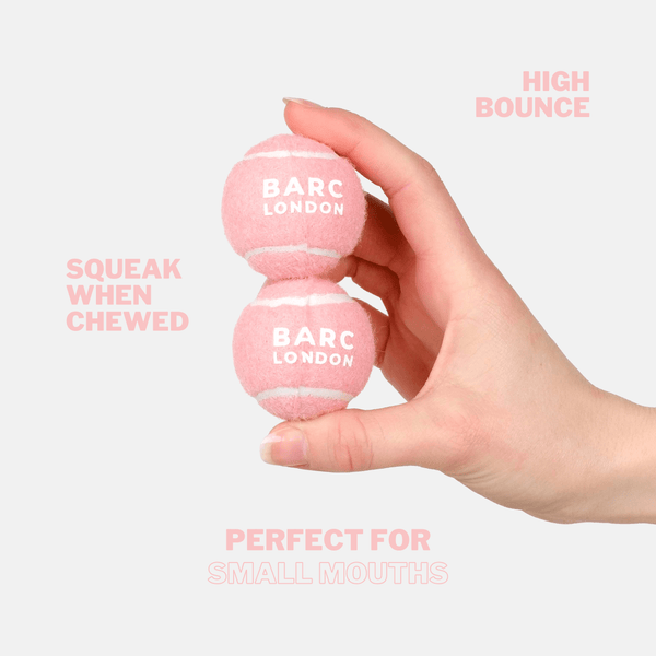 Barc London Pink Mini Dog Ball