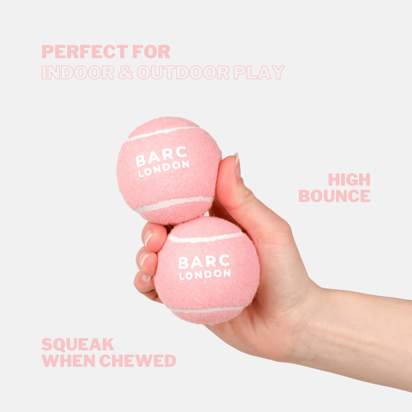 Barc London Pink Dog Ball
