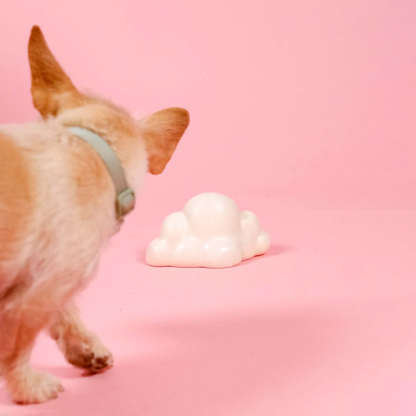 Barc London Cloud Squeaky Dog Toy