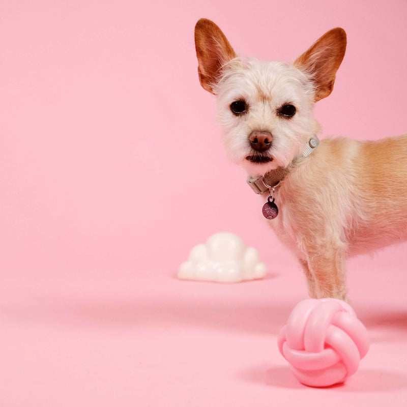 Barc London Cloud Squeaky Dog Toy
