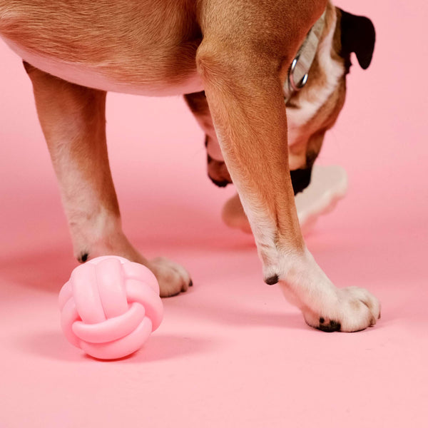 Barc London Knotball Squeaky Dog Toy