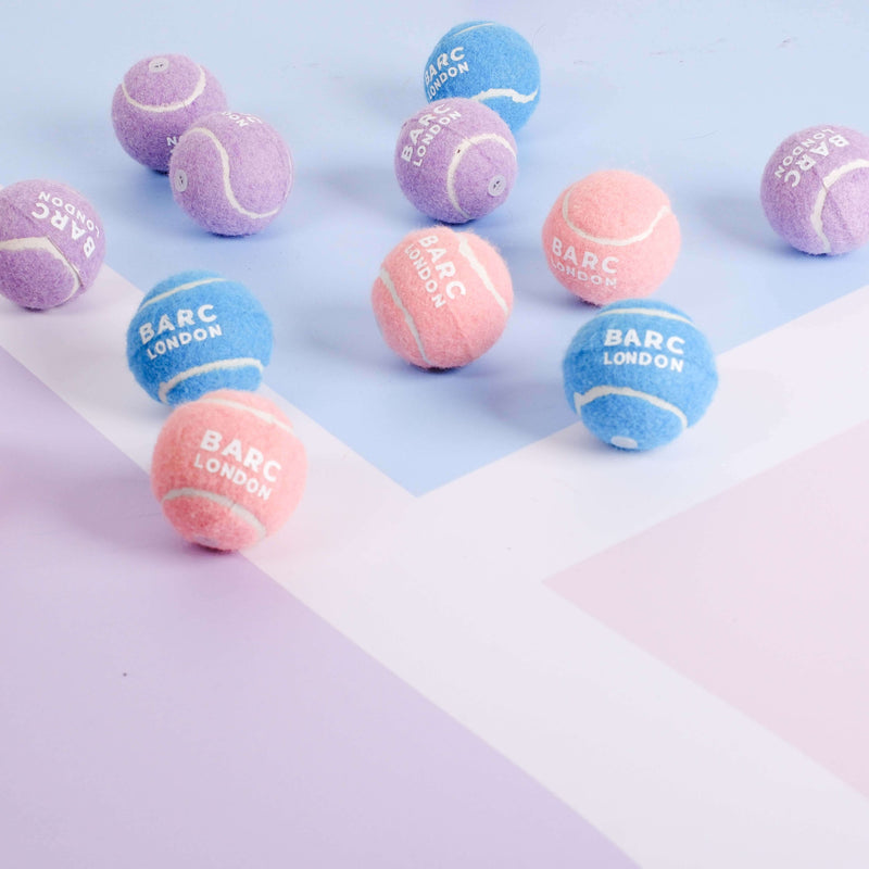 Barc London Lilac Mini Dog Ball