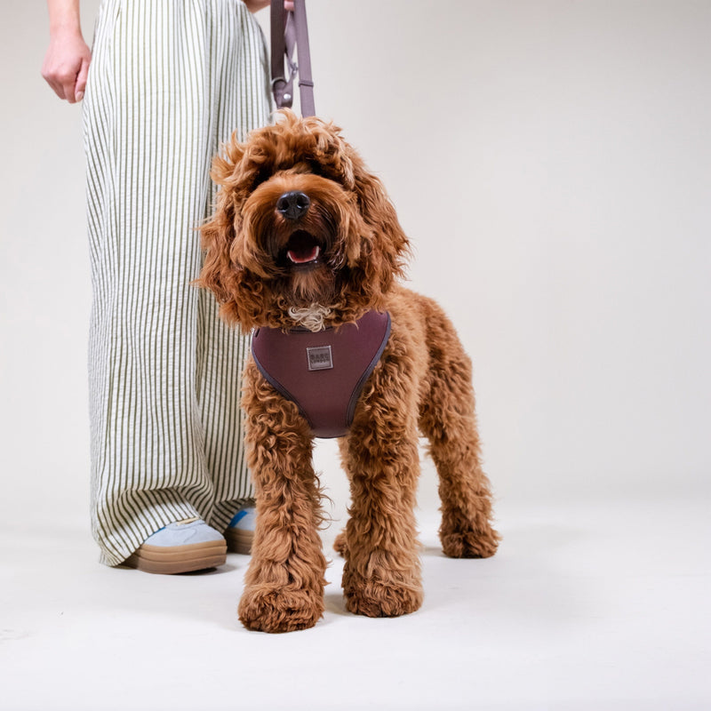Barc London Russet Brown Essential Set