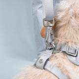 Immaculate Vegan - Barc London Frosted Blue Essential Set