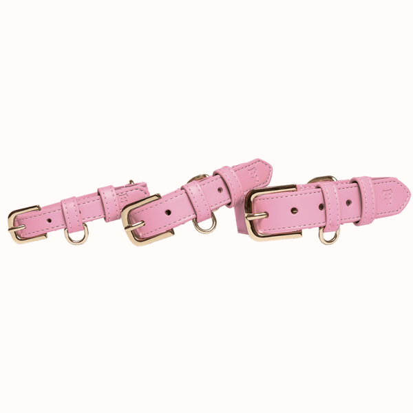 Tails & Bloom Bunny Pink Dog Collar