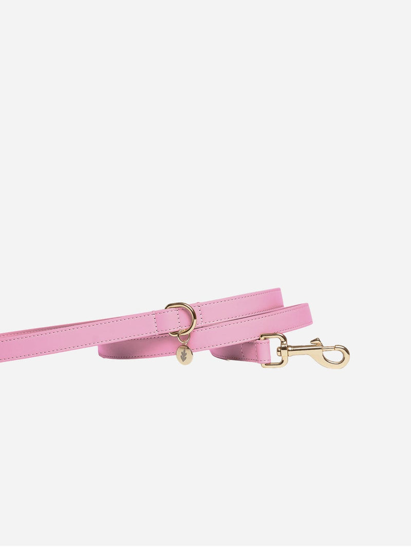Tails & Bloom Bunny Pink Dog Lead