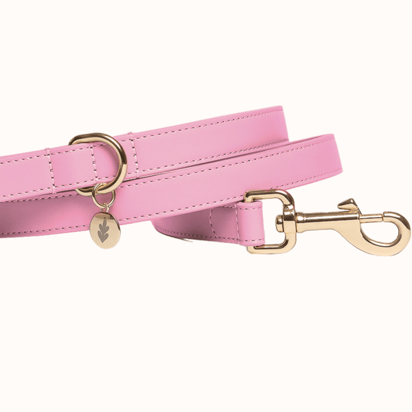 Tails & Bloom Bunny Pink Dog Lead