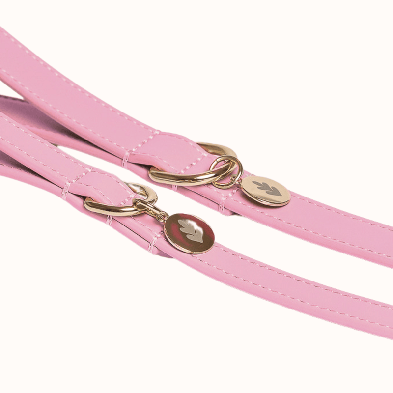 Tails & Bloom Bunny Pink Dog Lead