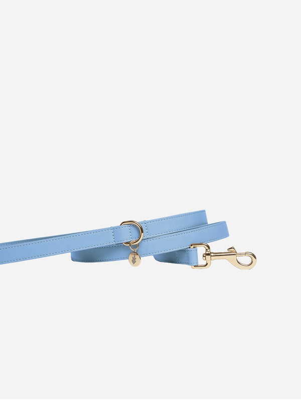 Tails & Bloom Cornflower Blue Dog Lead Slimline