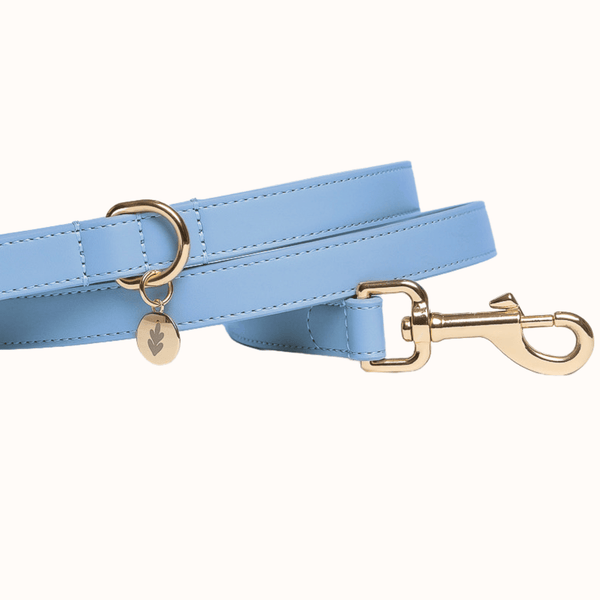 Tails & Bloom Cornflower Blue Dog Lead Slimline